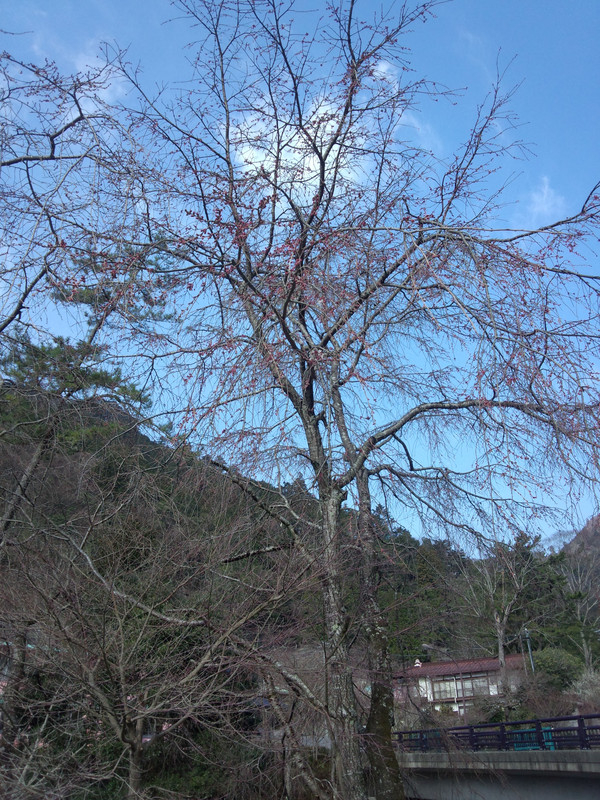 Img_20150315_085828386