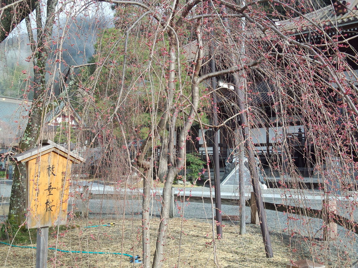 Img_20150320_080423698