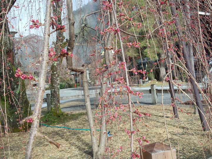 Img_20150320_080431644