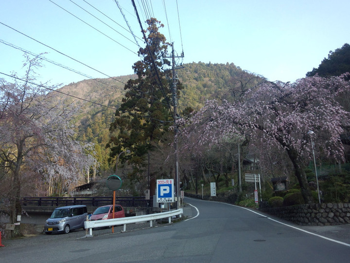 Img_20150323_071112724