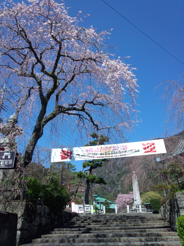 Img_20150325_104459649