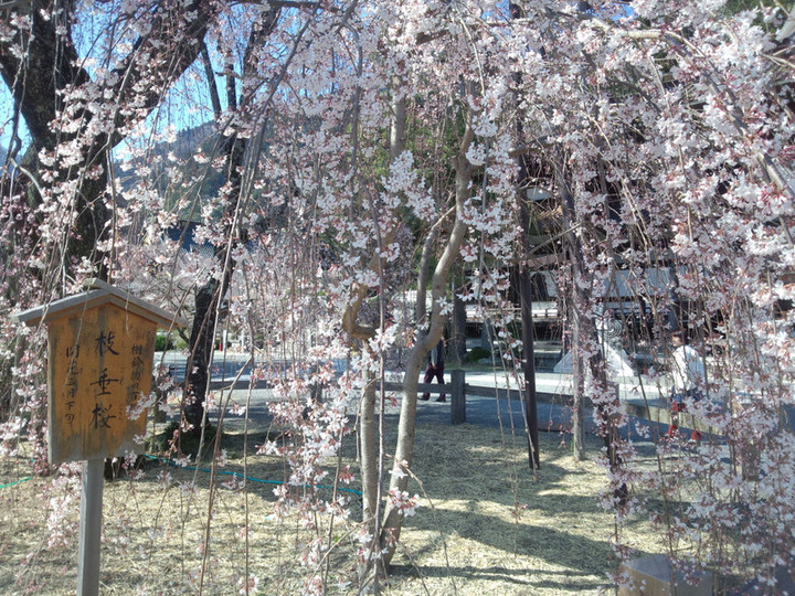 Img_20150326_14121986