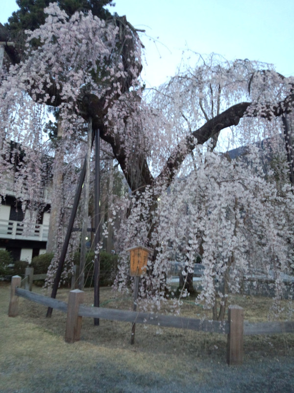 Img_20150329_052712640