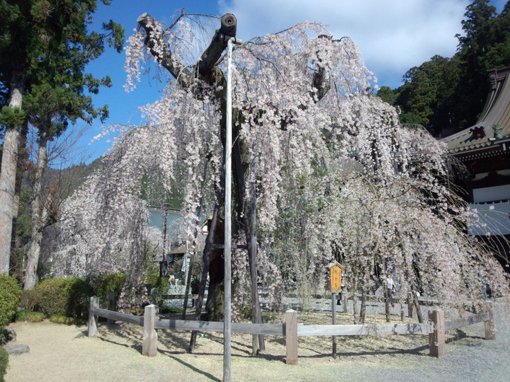 Img_20150402_084353675