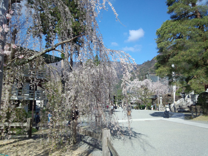 Img_20150402_084413450