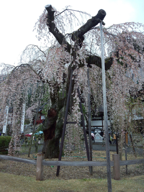 Img_20150403_140005914