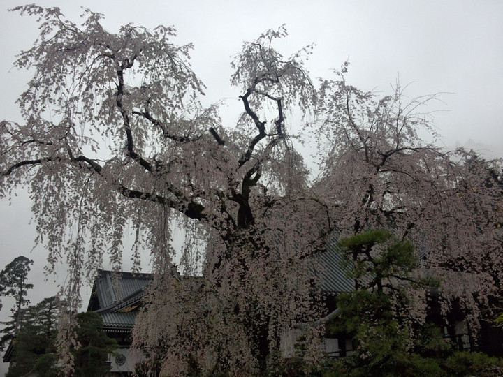 Img_20150404_080358187