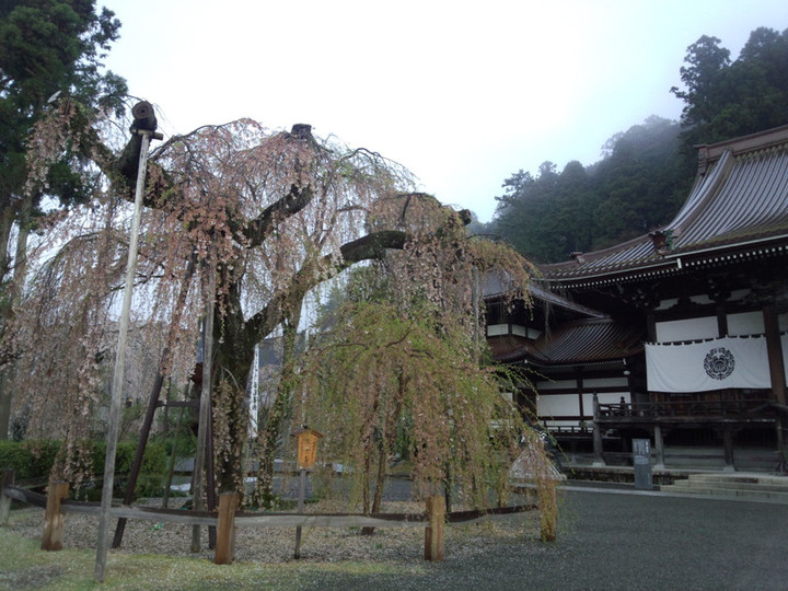 Img_20150406_060356911