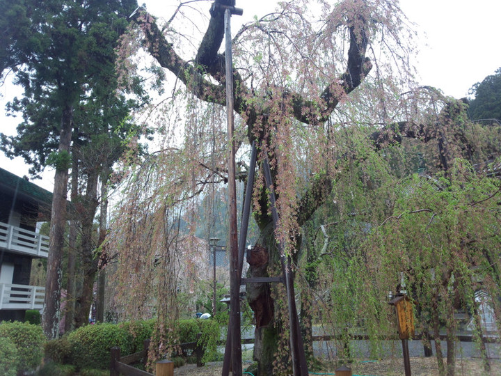 Img_20150408_111131523