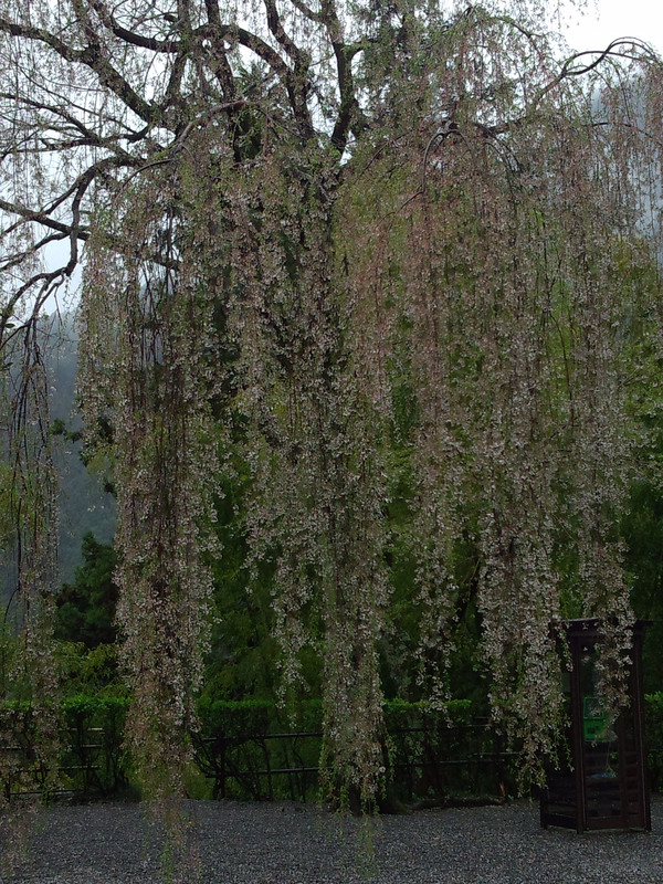 Img_20150408_111245233