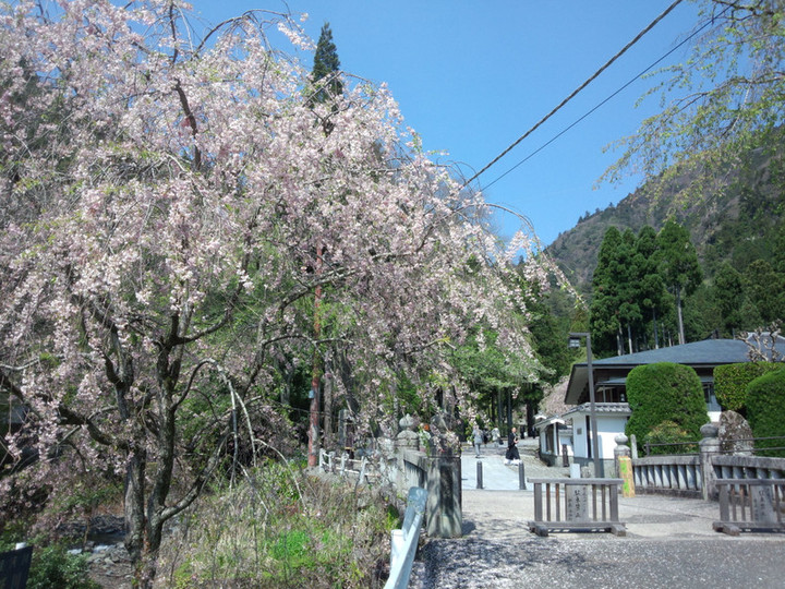 Img_20150416_101856399