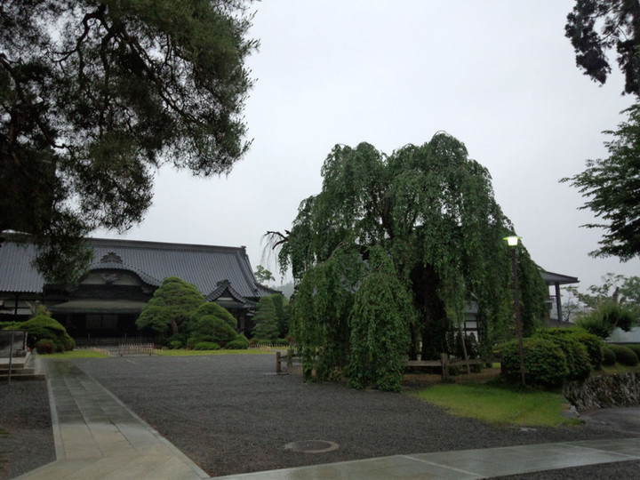 Photo_2
