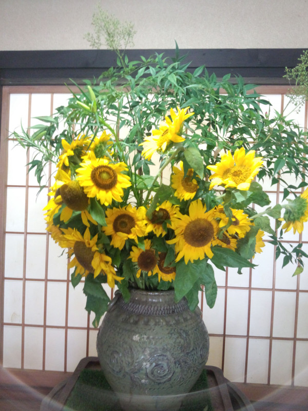 Img_20150727_084755843