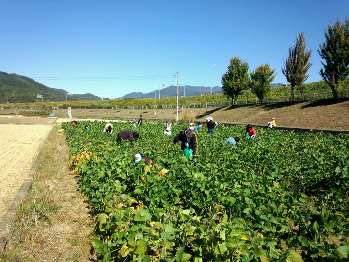 20151025124854_photo