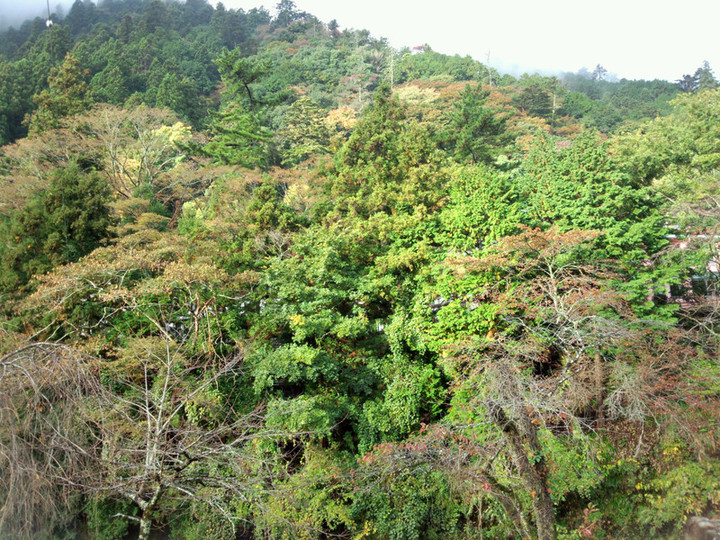 20151103072544_photo