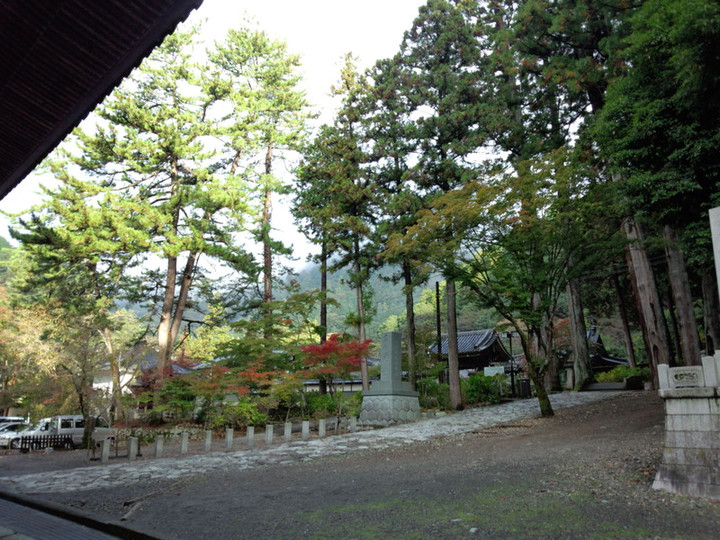 Img_20151103_072843781