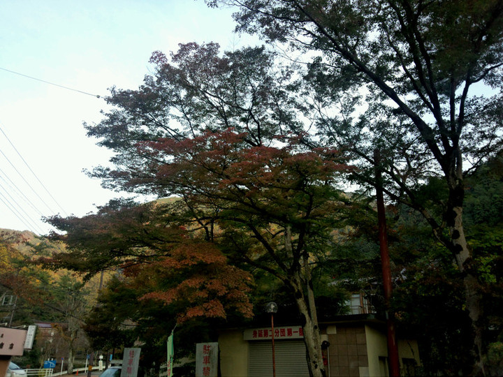 20151107065118_photo
