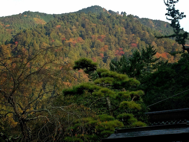 20151107065317_deco