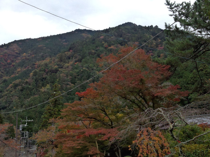 Img_20151111_101701905