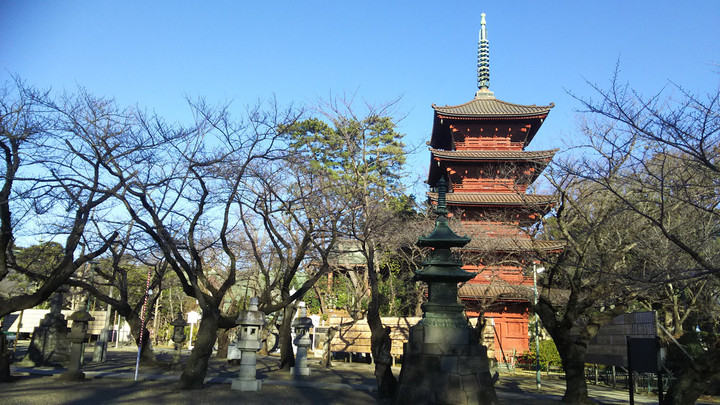 身延山いさご屋blog 中山法華経寺日蓮宗大荒行堂