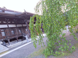 Img_20250425052746014