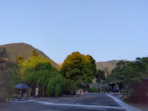 Img_20250501053430227