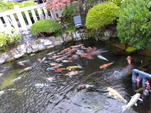 Img_20250501053509365