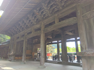 Img_20250505075038447_2