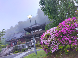 Img_20250507052947656