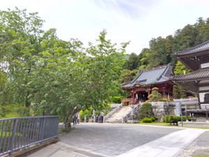 Img_20250515135736479