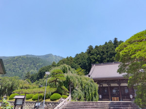 Img_20250617104923172