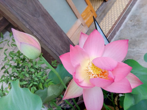 Img_20250625050218264