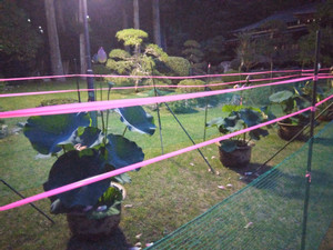 Img_20250625192958179