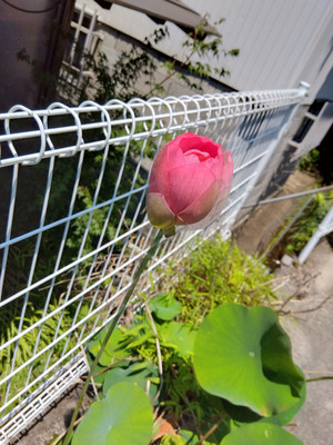 Img_20250630104157146_2