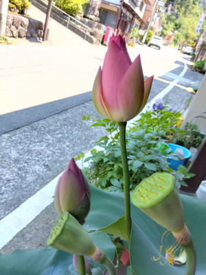 Img_20250630104433771