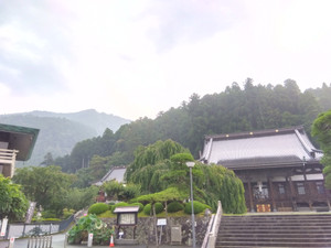 Img_20250702053106734