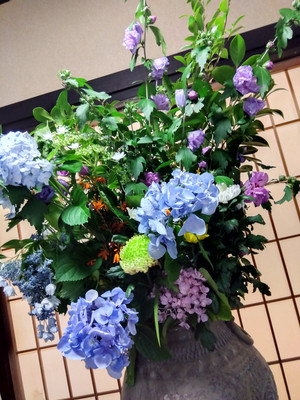 Img_20250712134505077