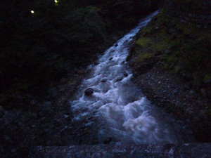 Img_20250717191917204