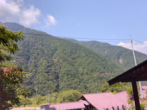 Img_20250821100559843