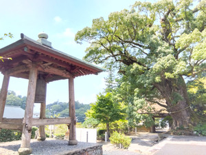 Img_20250830112400371_2
