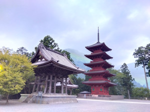 Img_20250901053246537