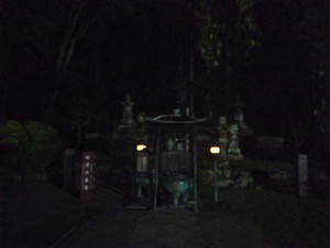 Img_20251014182519775