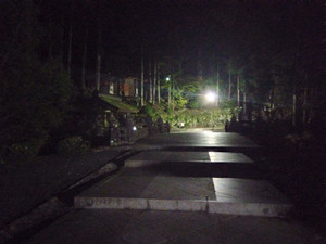 Img_20251014182559636