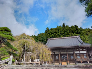 Img_20251015104836092