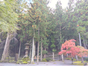 Img_20251027095229617