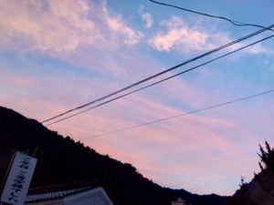 Img_20251029170400703