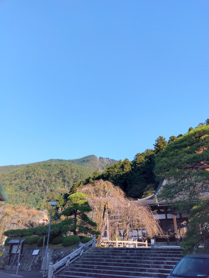 Img_20251030071929755