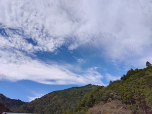 Img_20251101125256091