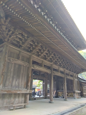 Img_20251103073430389