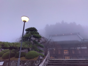 Img_20251110063450713